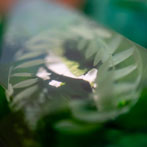 Holly Clifford at work. Yorkshire Artspace 2020